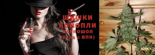 хмурый Арсеньев