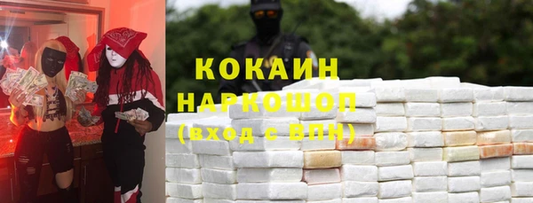 хмурый Арсеньев