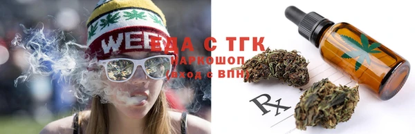 хмурый Арсеньев