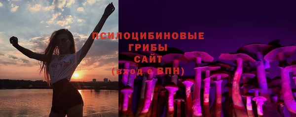 дурь Аркадак