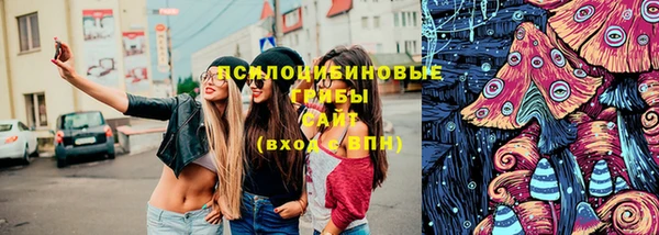 дурь Аркадак