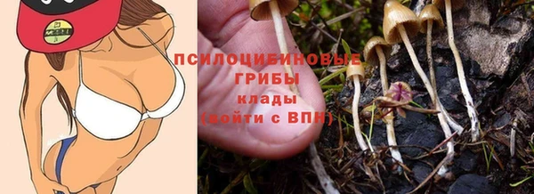 Альфа ПВП Алзамай