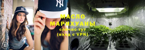 хмурый Арсеньев